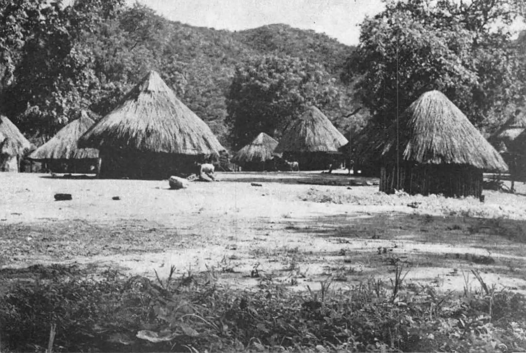 Typical Shona homestead amid dense bush